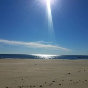 Meet your Posher, Julienne